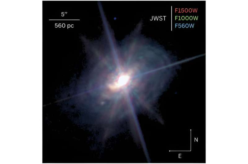 JWST unveils the structure of dust near a supermassive black hole