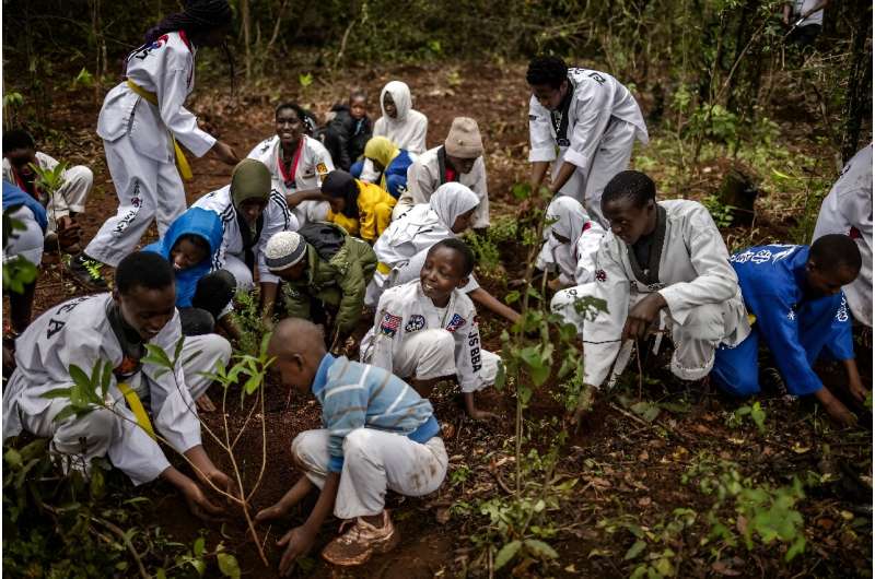 Kenya has a nationawide tree-planting public holiday every November 13