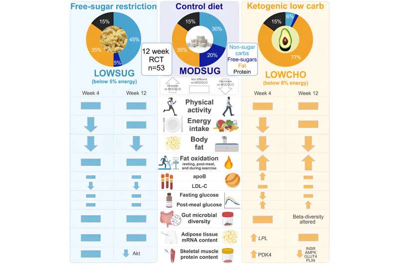 Keto nutrition learn about presentations greater LDL ldl cholesterol, upper apolipoprotein B and lowered intestine micro organism