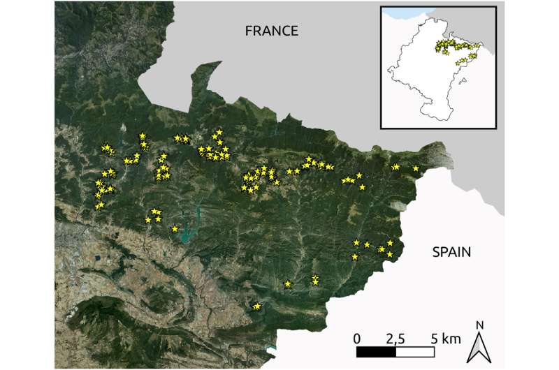 Key management practices to enhance biodiversity in the Western Pyrenees