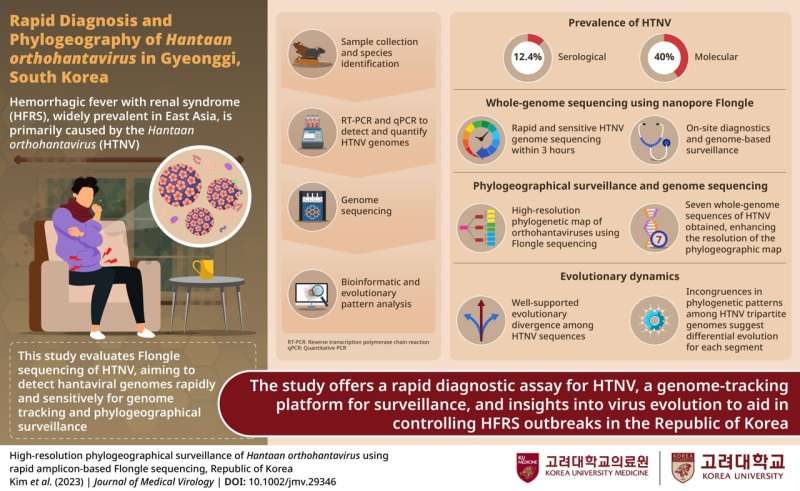 Korea University College of Medicine identifies hantavirus in South Korea using a new rapid test, paving way for early outbreak control
