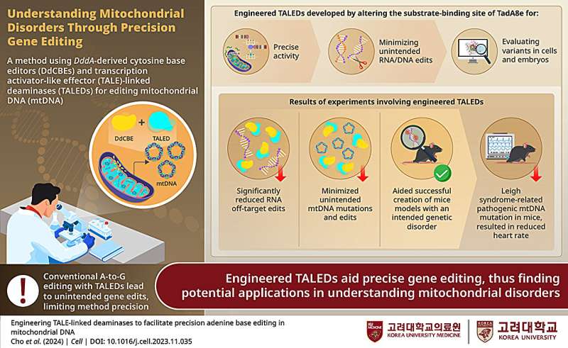 Korea University study explores a novel and precise mitochondrial gene editing method