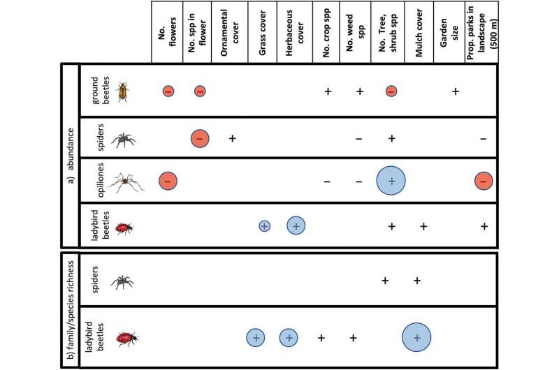 Lady beetles: Understanding the beneficial predators among us