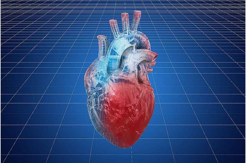 Large geographic variation seen with heart failure phenotypes
