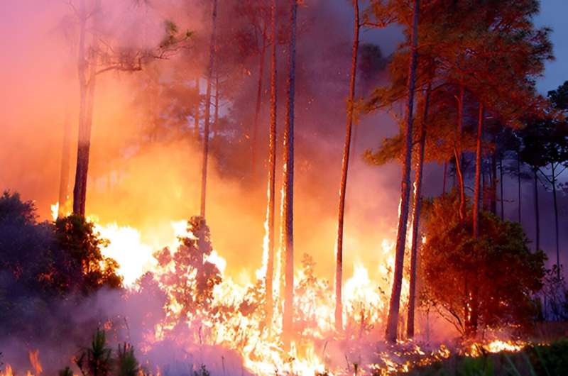 Large wildfires create weather that favors more fire