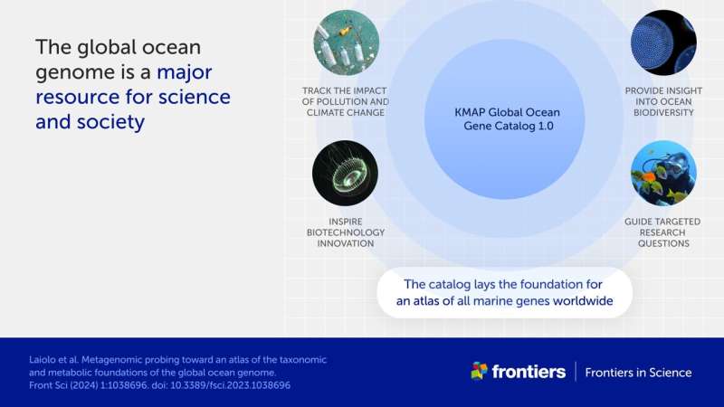 El mayor estudio jamás realizado sobre el ADN del océano ha creado un catálogo esencial de vida marina