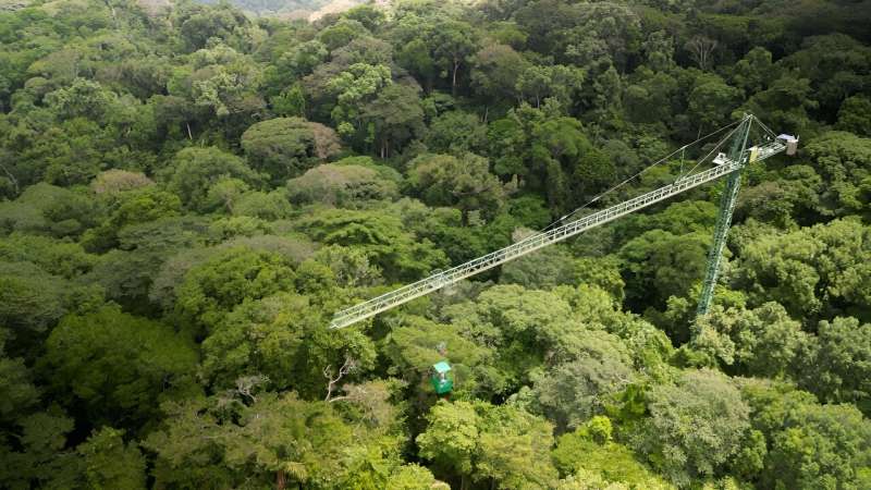 Laser-focused on rainforest carbon loss