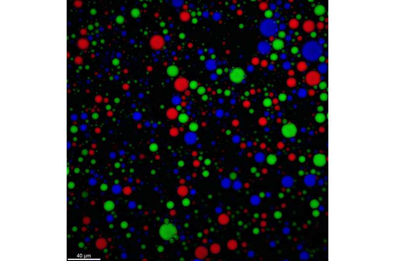 Life from a drop of rain: New research suggests rainwater helped form the first protocell walls