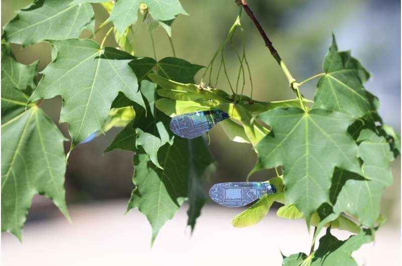 Light-controlled artificial maple seeds could monitor the environment even in hard-to-reach locations