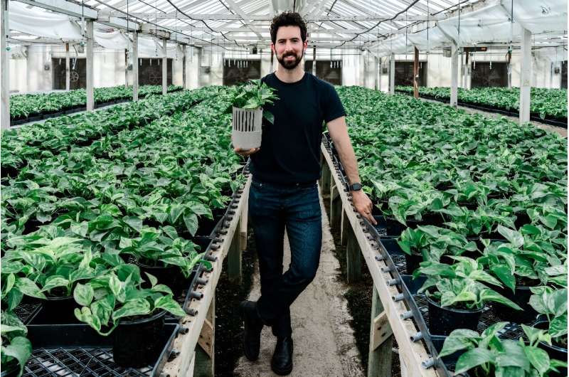 Lionel Mora, co-founder of French startup Neoplants, poses for a portrait inside the greenhouse where they grow the Marble Queen pothos plants in Lodi, California
