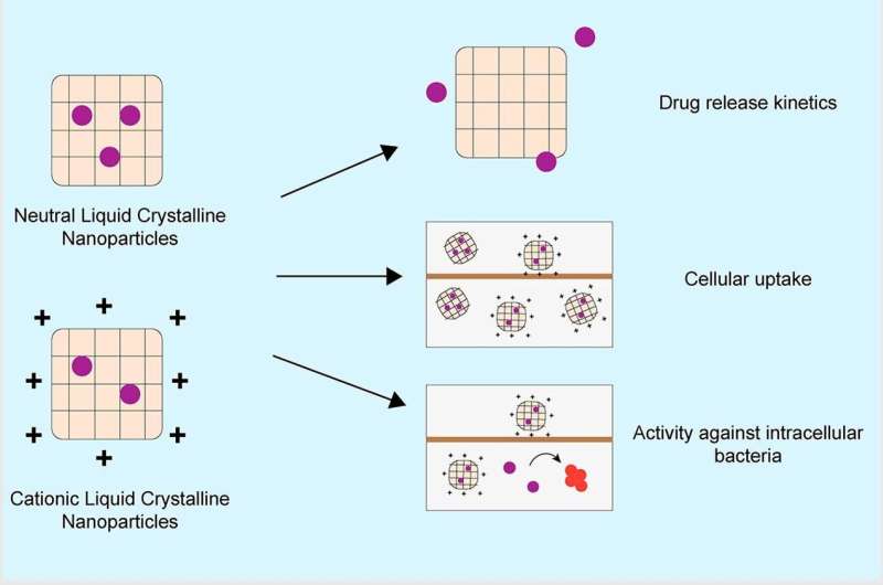 Liquid crystal nanoparticles supercharge antibiotics for cystic fibrosis