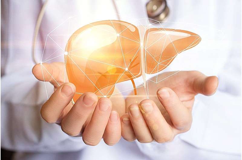 Liver grafts feasible from hep C-positive donors after circulatory death