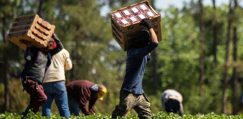 Local food systems need to prioritize job quality alongside ethical food production