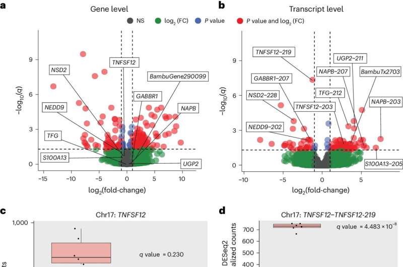 La secuenciación de ARN de lectura larga revela expresiones genéticas clave en la enfermedad de Alzheimer
