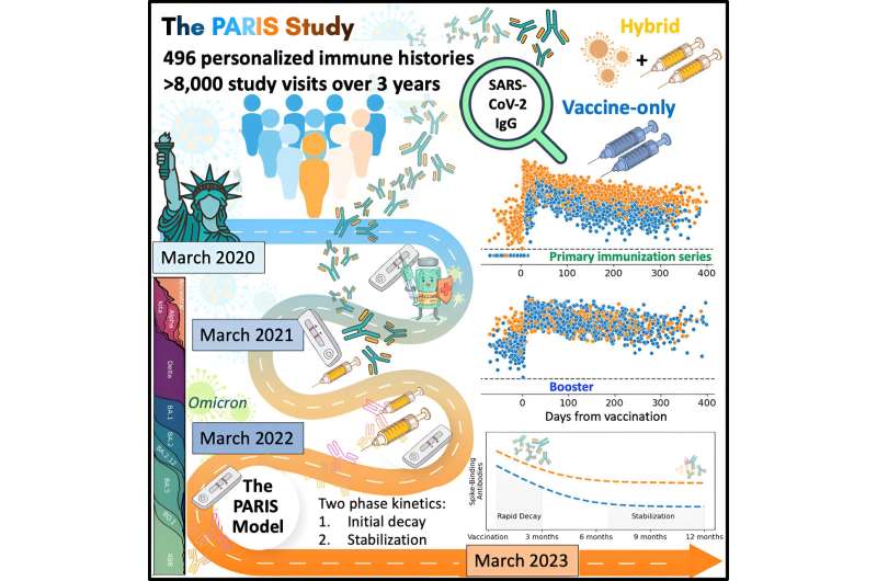 Long-term data reveals SARS-CoV-2 infection and vaccine-induced antibody responses are long-lasting