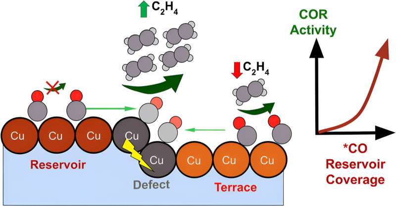 Looking at the importance of catalyst sites in electrochemical CO₂ conversion