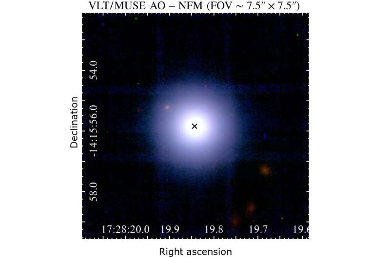 Luminous quasar PDS 456 explored with MUSE