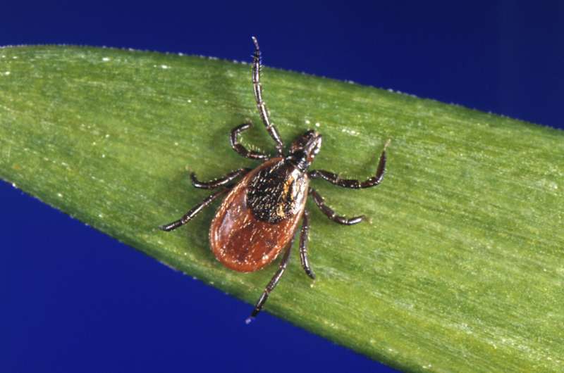 Lyme disease case counts in the US rose by almost 70% in 2022 due to a change in how it's reported