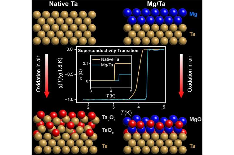 Magnesium protects tantalum, a promising material for making qubits