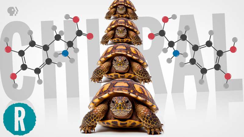 Making this Parkinson's drug is just turtles all the way down (video)
