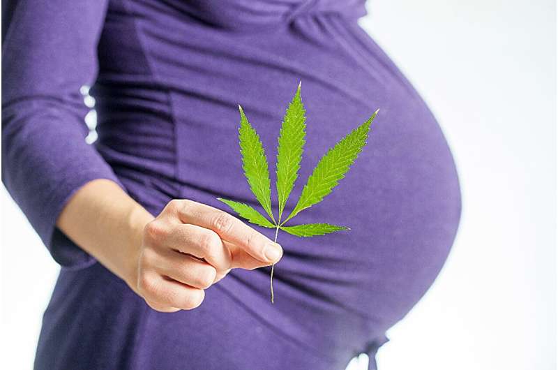 Marijuana use while pregnant could raise odds for complications