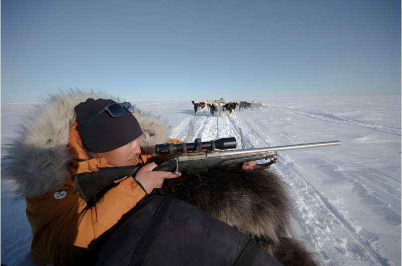 Martin Madsen, 28, struggles to make a living as a professional Inuit polar bear hunter
