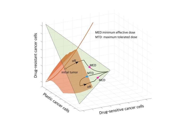 Mathematical model driven evolutionary therapy dosing exploiting cancer cell plasticity