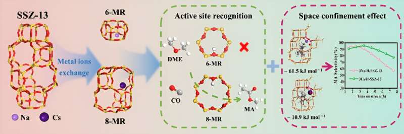 Mechanistic insights over SSZ-13 zeolite in catalytic dimethyl ether carbonylation