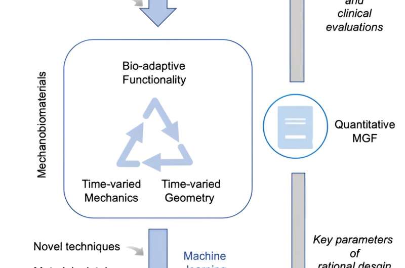 Mechanobiomaterials: A rising field using mechanobiology principles to program the functional biomaterials
