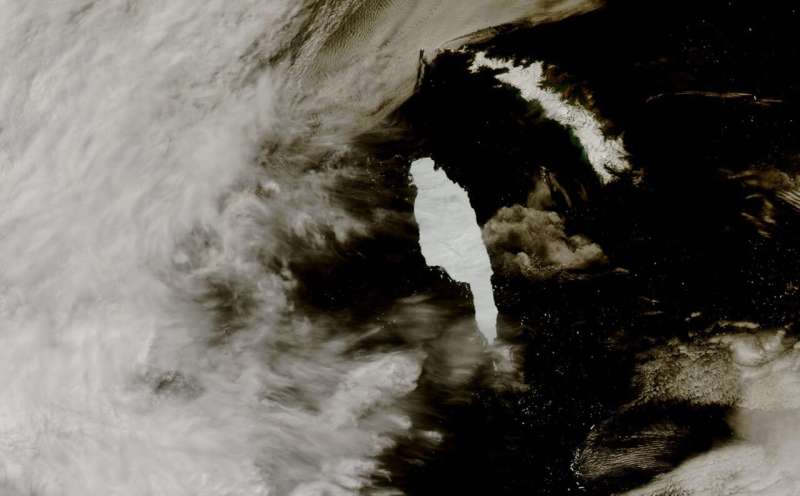 Mega-iceberg melt affects important marine ecosystem