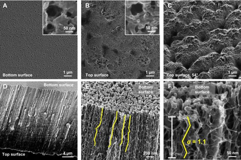 Membrane technology: Looking deep into the smallest pores