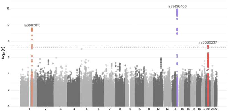 Meta-analysis of ACE inhibitor–induced angioedema identifies novel risk locus in genome