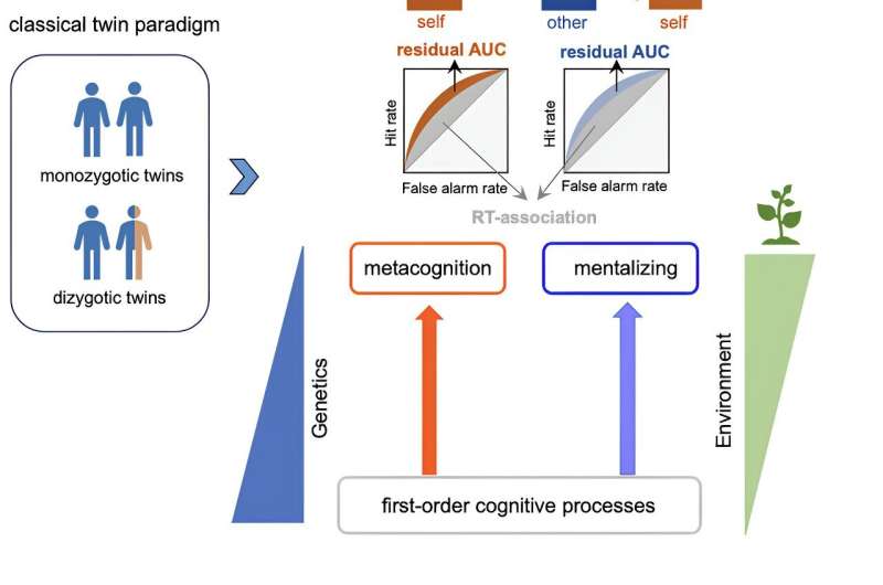 Metacognitive abilities like reading the emotions and attitudes of others may be more influenced by environment than genetics