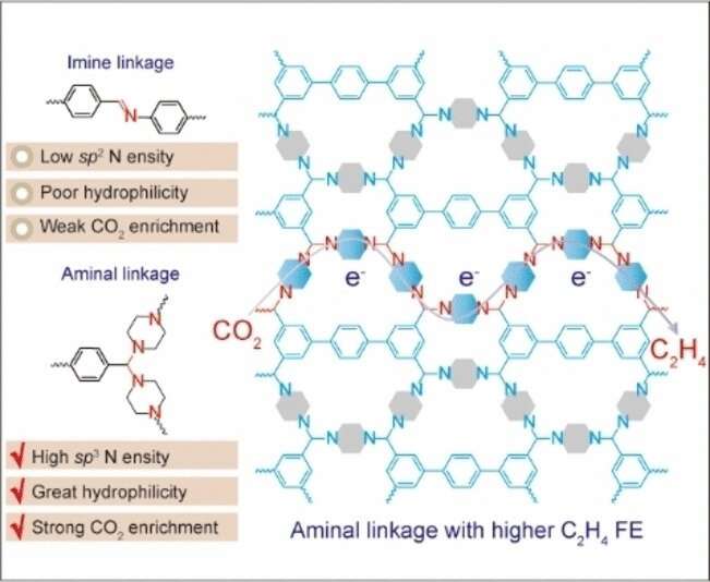 Metal-free organic framework for electrocatalytic production of ethylene from carbon dioxide