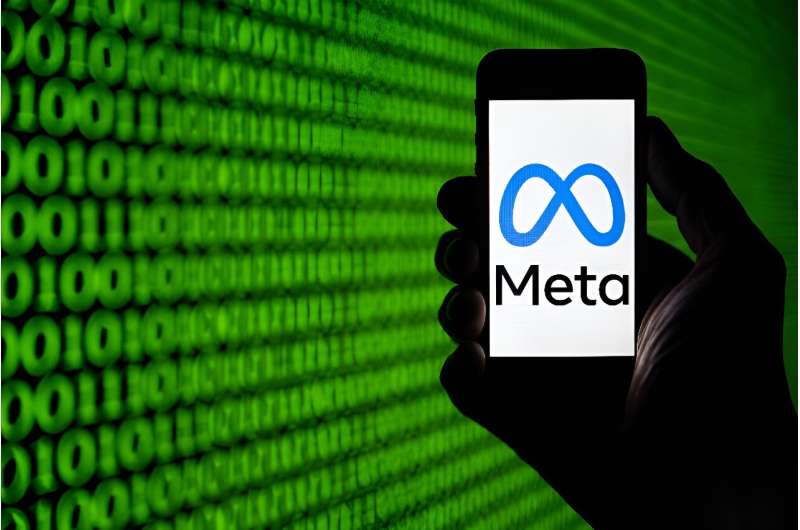 Meta's growth is due in particular to its sophisticated advertising tools and the success of 
