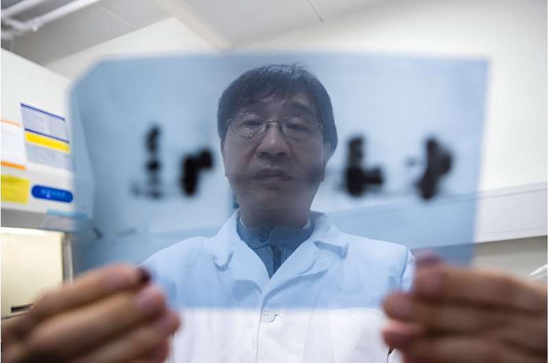 Microbiologist Yuen Kwok-yung, seen working in his Hong Kong laboratory, maintains a proper investigation into Covid-19's origins remains important