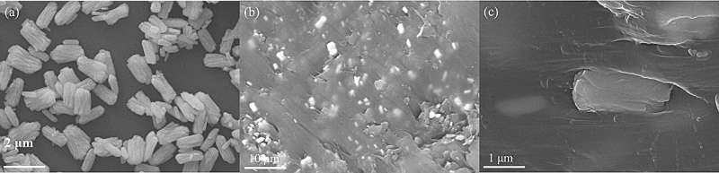 Micron plate Sm2O3 composites enhance neutron and gamma radiation protection