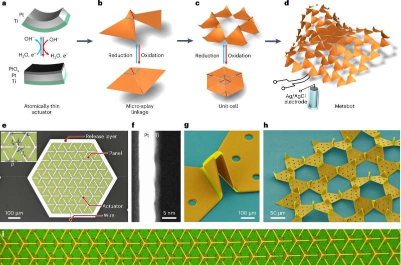 Microscale robot folds into 3D shapes and crawls