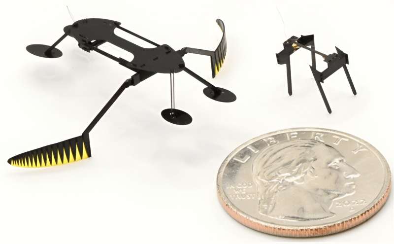 Mini-robots modeled on insects may be smallest, lightest, fastest ever developed