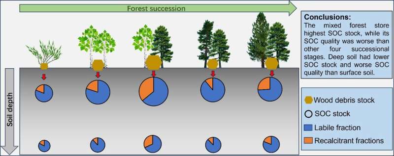 Mixed forests store more soil organic carbon than pure forests