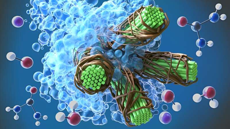 Molecular simulations and supercomputing lead to advances in energy-saving biomaterials