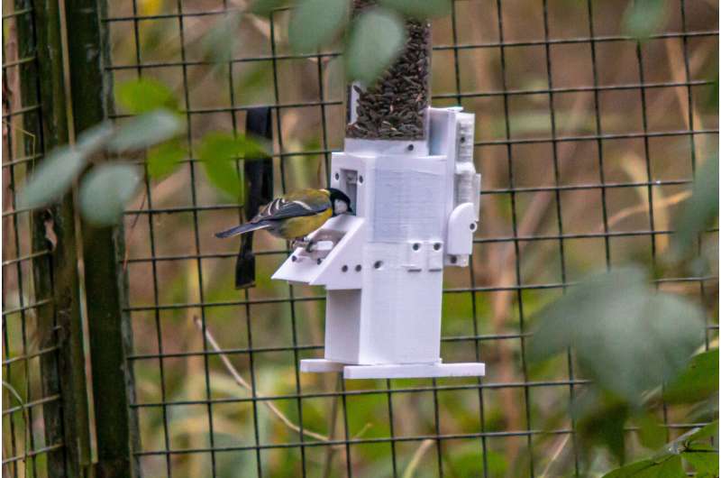 More social birds are more adventurous feeders, study finds