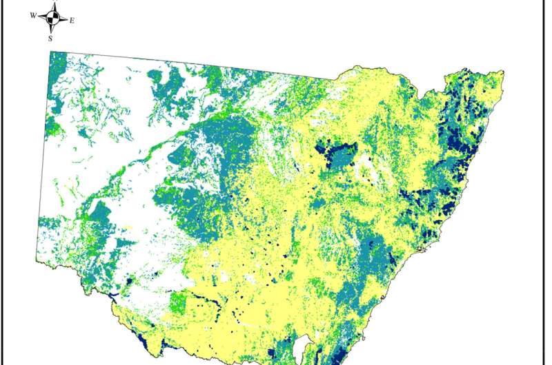 More than half of NSW's forests and woodlands are gone as ongoing logging increases extinction risks