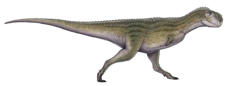 Morocco dinosaur discovery gives clues on why they went extinct