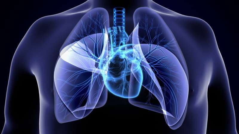 Mortality in rheumatic heart disease is high