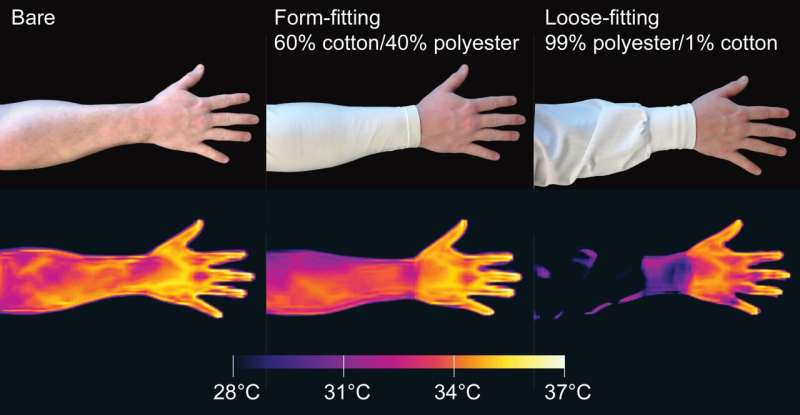 Mosquitoes sense infrared from frame warmth to assist monitor people down, learn about presentations