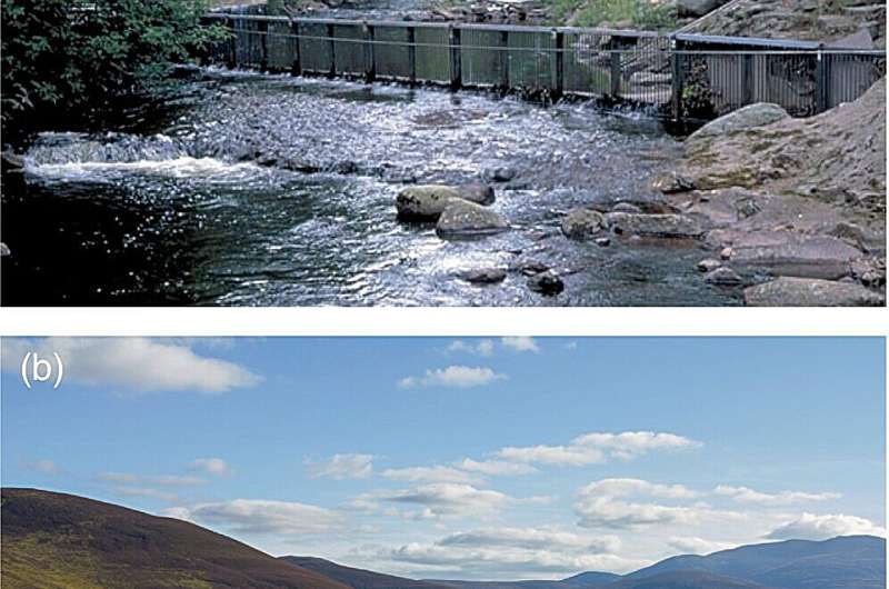 Most detailed long-term study in the world provides science to support Scottish salmon recovery
