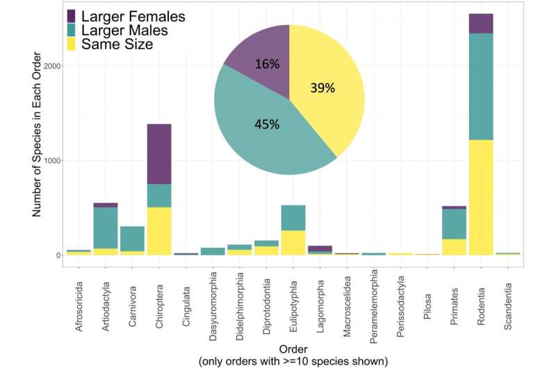 Most male mammals are not bigger than females