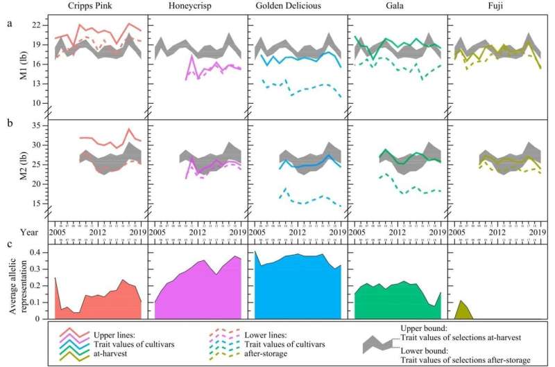 Multi-year trends in apple firmness retention post-storage and cultivar influence on breeding selections