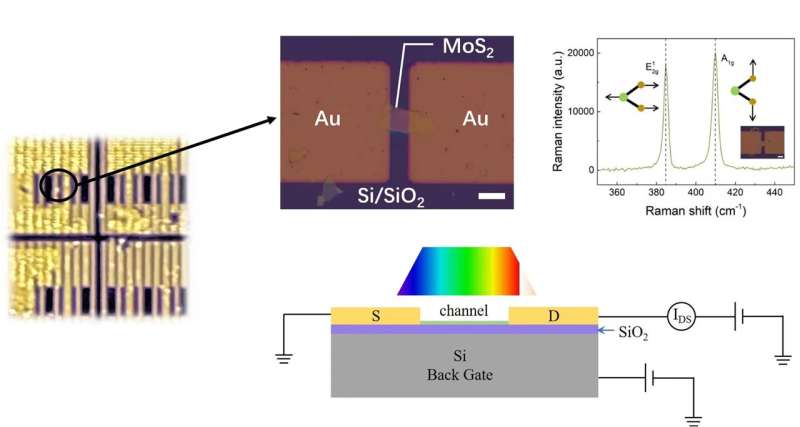 Multilayer MoS2 photodetector with broad spectral range and multiband response